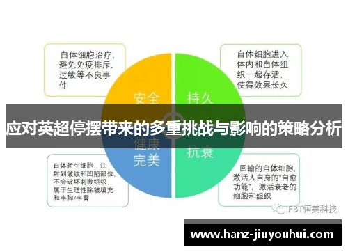 应对英超停摆带来的多重挑战与影响的策略分析